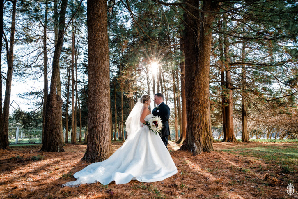 Wadsworth Mansion wedding photographer captures romantic sunset portraits in the Cedar Grove