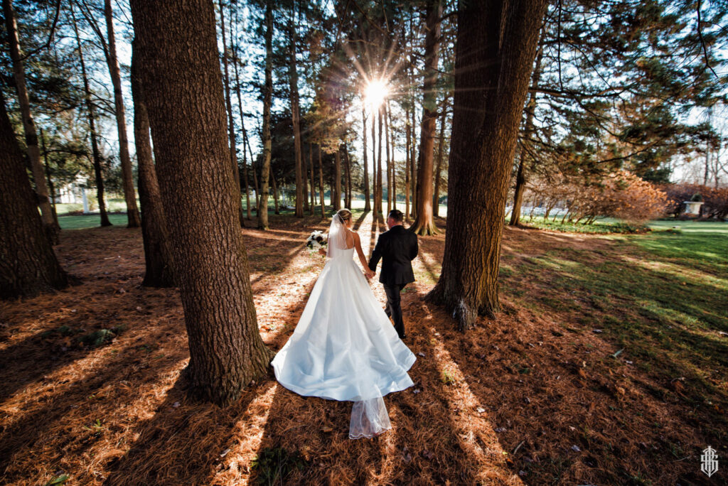 Golden hour portraits with warm light filtering through century-old cedars